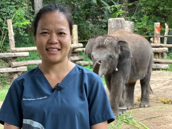 Elephant Polo In Thailand 2023 2024 5