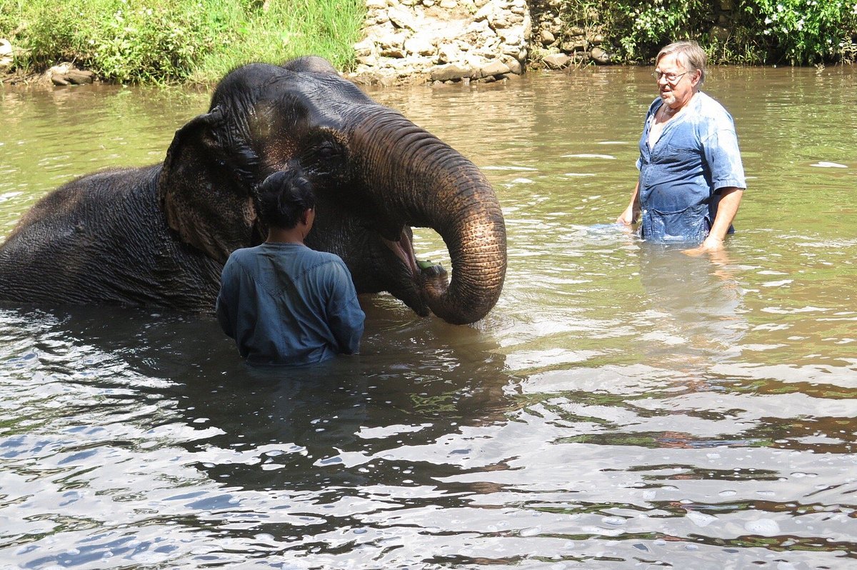 Tuk-tuks, Elephants, And Lessons In Life On The Mae Hong Son Loop 5