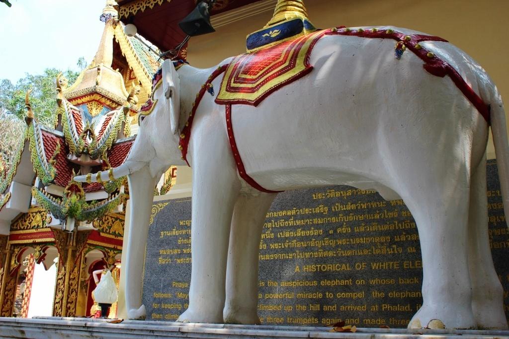 Wat Palad Chiang Mai Temple Doi Suthep 5